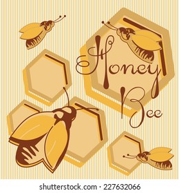 Vector honey background and bee on honeycomb label for your design 