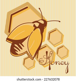 Vector honey background and bee on honeycomb label for your design 