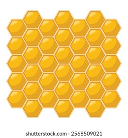 Vector honey bee hive design