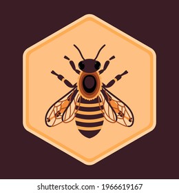 Vector honey bee in honeycomb cell. Queen bee icon. Vector flat illustration.