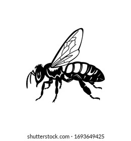 icono de abeja vectorial. ilustración de abeja miel