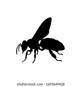 vector honey bee icon. honey bee silhouette