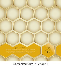 Vector Honey Bee Illustration Background Collection