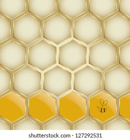Vector Honey Bee Illustration Background Collection