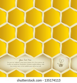 Vector Honey Bee Illustration Background Collection