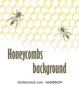 Vector honey bee ink hand drawn sketch illustrations. Jar, bee, honeycomb objects. Banner, poster, label, brochure template for business promote.