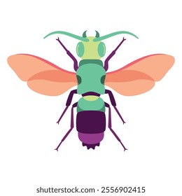 Vector Honey Bee Insect Cartoon Illustration Isolated
