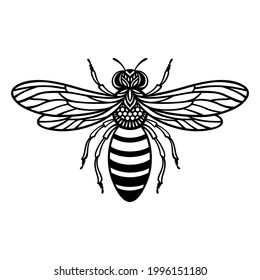 Vector honey bee. Insect silhouette. Template for paper cutting, printing on a T-shirt, mug. Flat style. Hand drawn decorative element for your design. Isolated on white background.