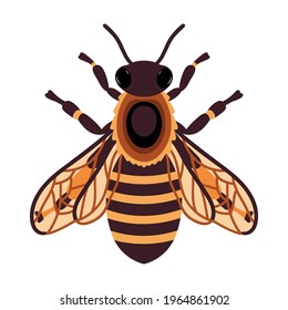Vector honey bee isolated on white background. Queen bee logo. Vector flat illustration.