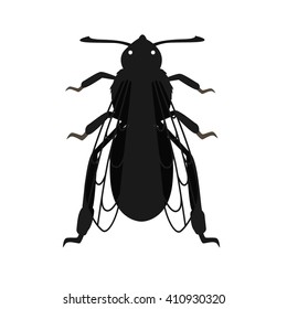 Vector honey bee queen cartoon. Isolated bee black on white background