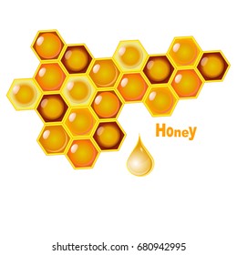 Vector honey combs background design elements isolated over white background
