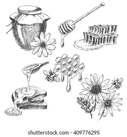 Vector Honey Elements Set. Hand Drawn Honey Jar, Spoon, Stick, Cells, Camomile. Ink Sketch Of Organic Nature Products