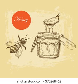 vector honey pot and bee illustration. detailed hand drawn sketch of nature objects