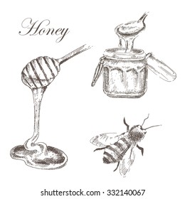 vector honey pot, honey cells, honey stick, bee illustration. detailed hand drawn sketch of nature objects