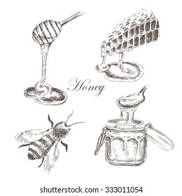 vector honey pot, honey cells, honey stick, bee illustration. detailed hand drawn sketch of nature objects