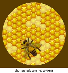 Vector honey round label design. Honeycombs texture background. Bee on honeycomb background. Template for honey package, tag or wrapping.