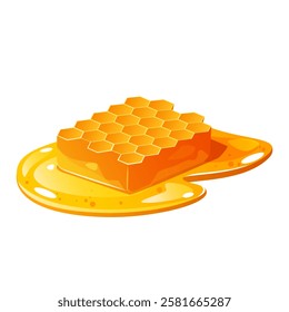 Vector honeycomb in pure honey isolated on white background.