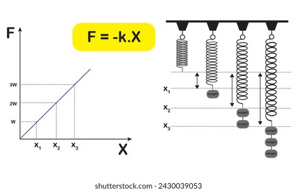 vector Hooke's law, the force is proportional to the extension
,is a law credited to sir Robert Hooke. the law states that the extension of a spring is directly proportional to the applied force. 