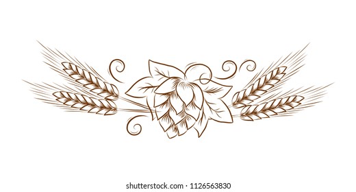 Vector hop cones with leafs and wheat outline illustration for invitation, poster, banner, logo, menu, craft beer product package. Vintage line art, floral sketch, For oktoberfest or thanksgiving day