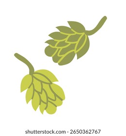 Ilustração plana de salto vetorial . Cones de lúpulo com folhas. Elementos de design para borda ou quadro. Ilustração do ingrediente da cerveja.