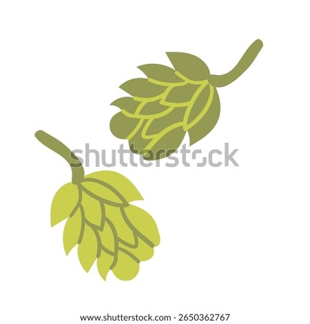 Vector hop flat illustration . Hops cones with leaves. Design elements for border or frame. Beer ingredient illustration.
