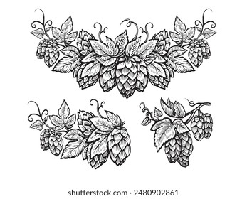 Vector hop sketch. Branch of hops cones with leaves. Design elements for border or frame. Beer ingredient illustration.