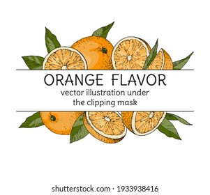 Vector horizontal background with oranges for text. Hand-drawn color composition fruit sketches. Vintage border style engraving. Design of advertising, packaging, signage, postcards, banners