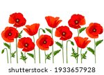 Vector horizontal background with red poppies on a white background.