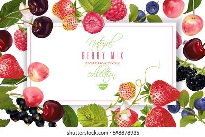 Vector horizontal banner with berry mix. Design for cosmetics, sweets and candy, pastry and bakery filled with berries, beauty organic products, health care products, aromatherapy. With place for text