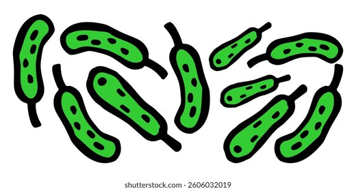 Vector horizontal banner of colored cucumbers on a white isolated background