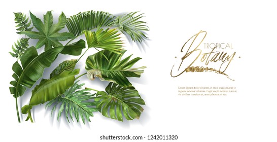 Vector horizontal banner with green tropical leaves on white background. Luxury exotic botanical design for cosmetics, spa, perfume, aroma, beauty salon. Best as wedding invitation card