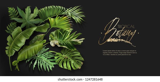 Vector horizontal banner with green tropical leaves on black background. Luxury exotic botanical design for cosmetics, spa, perfume, aroma, beauty salon. Best as wedding invitation card