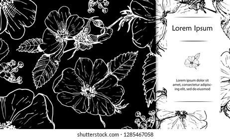 Vector horizontal banner with hand drawning wild rose on black background. Retro botanical design for cosmetics, spa, perfume, aroma, beauty salon