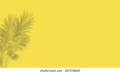 Vector horizontal banner illuminating yellow background with copy space. Bright yellow trendy backdrop with palm leaves shadow. Modern minimal design, header, poster.