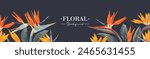 Vector horizontal banner on a dark background with bright yellow and orange Strelitzia reginae flowers. Tropical botanical design for social media banners, advertising, cosmetic, spa, perfume pack