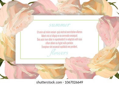 Vector horizontal banner with pink rose flowers on white background. Design for greeting card or wedding invitation
