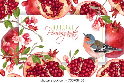 Vector horizontal banner with pomegranate fruits , branches and bird on white background. Design for cosmetics, spa, pomegranate juice, health care products, perfume. Can be used as sweets packaging