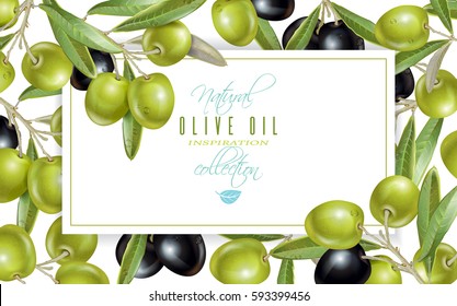 Pancarta horizontal vectorial con aceitunas negras y verdes maduras sobre fondo blanco. Diseño de aceite de oliva, productos oleícolas, cosméticos naturales, productos sanitarios, homeopatía. Con lugar para texto