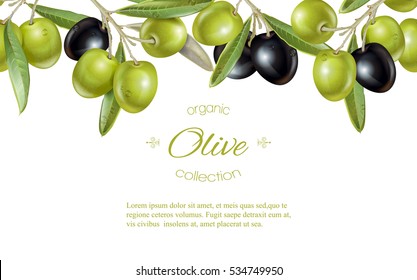 Vector horizontal banner with seamless border of black and green olives on white background. Design for olive oil, natural cosmetics, health care products. With place for text.