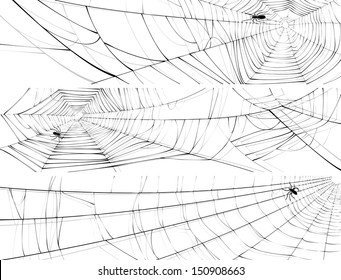 Vector horizontal banner of silhouette of web of spider, isolated on white.