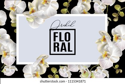 Vector horizontal banner with white orchid flowers on black background. Floral design for cosmetics, perfume, beauty care products. Can be used as greeting card, wedding illustration