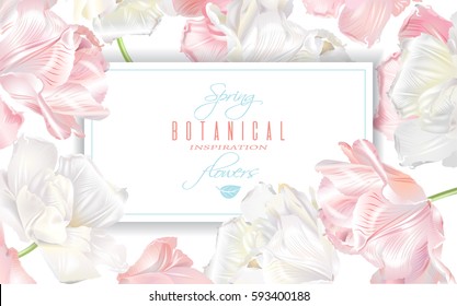 Vector horizontal banner with white and pink tulip flowers. Spring tender design for natural cosmetics, perfume, florist shop. Can be used as greeting or wedding invitation