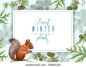 Vector horizontal banner with winter forest branches and squirrel.