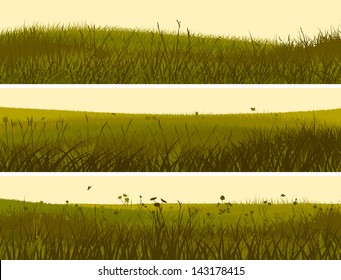 Vector of horizontal banners abstract meadow grass in yellow green.