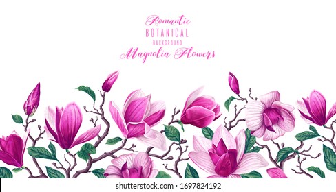Borde horizontal vectorial con flores de magnolia rosa y hojas aisladas en fondo blanco. Fondo de temática primaveral, vector, diseño floral botánico en un estilo realista. Saludo, tarjeta de invitación.