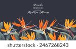 Vector horizontal border with tropical Strelitzia flowers and leaves isolated on dark background. Summer theme background, realistic style design. Greetings, invitations, template place for text