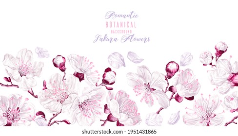 Vector horizontal border with white and pink sakura flowers isolated on white background. Spring theme background, vector, realistic botanical floral design. Greeting, invitation card.
