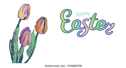 Vector of horizontal Easter banner with sketch of tulips , inscription Happy Easter and space for text.Isolated elements.Colorful gradient on white background.Festive design for card,poster,website