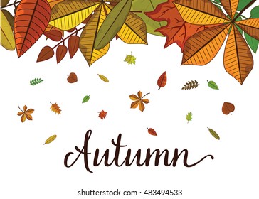 Vector horizontal frame with colorful autumn leaves on a white background.