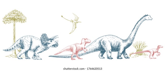 Vector horizontal illustration of dinosaurs and trees. Tyrannosaurus, triceratops, brachiosaurus.